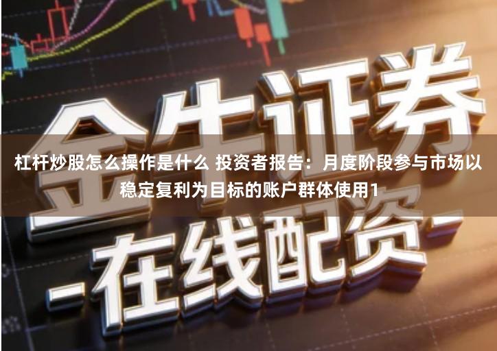 杠杆炒股怎么操作是什么 投资者报告：月度阶段参与市场以稳定复利为目标的账户群体使用1