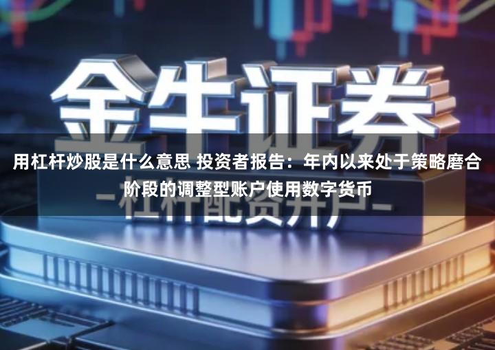 用杠杆炒股是什么意思 投资者报告：年内以来处于策略磨合阶段的调整型账户使用数字货币