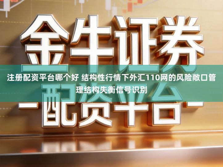 注册配资平台哪个好 结构性行情下外汇110网的风险敞口管理结构失衡信号识别